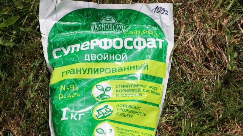 Почему я покупаю удобрение за 45 рублей для озимого чеснока: мой опыт дачника